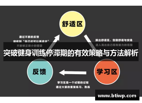 突破健身训练停滞期的有效策略与方法解析