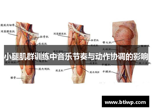 小腿肌群训练中音乐节奏与动作协调的影响